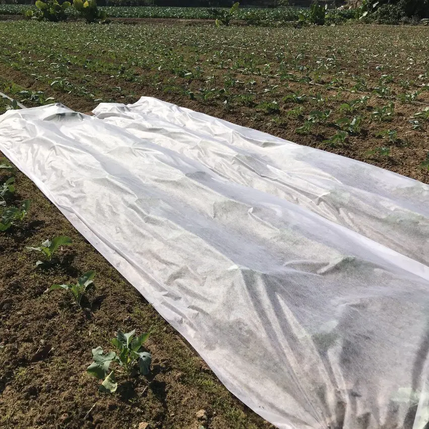 Hot Selling Agriculture PP Nonwoven Fabric Agriculture Cover