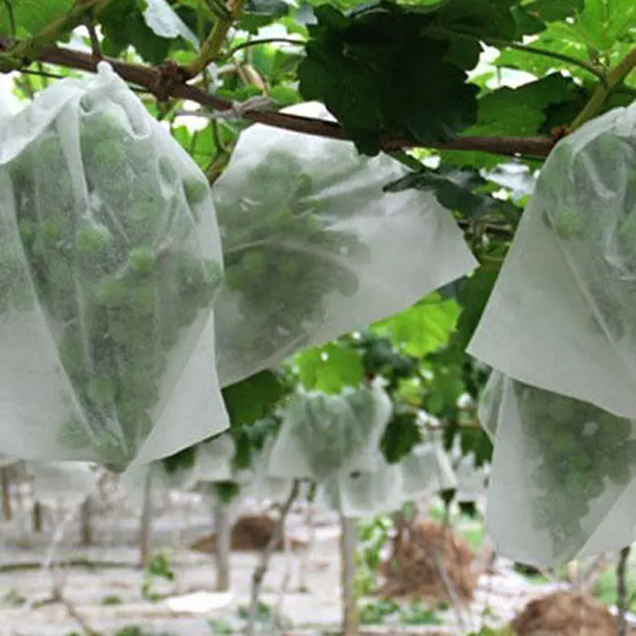 UV Treated Nonwoven Fabric for Agriculture