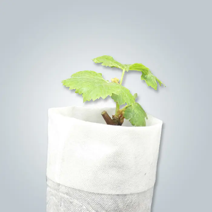 Plant Cover with 100%Polyprpopylene Spunbond Nonwoven Fabric