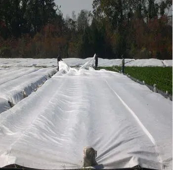 17g 6.5m Width 3% UV Agriculture Ground Cover Nonwoven