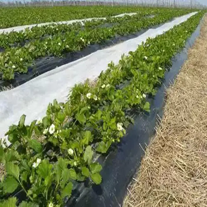 Light Weight Nonwoven Fabric Agriculture Cover