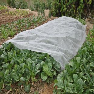 Agriculture Nonwoven Landscaping Fabric Weed Control Mat White UV Spunbond Weed Control Fabric