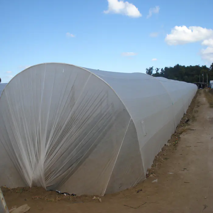 UV Treated Nonwoven Fabric for Agriculture