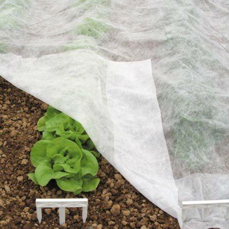 Anti UV Non Woven Fabric for Agriculture Cover