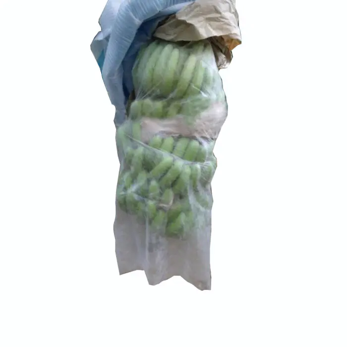 Nonwoven Fabric for Plant Covers Agriculture Protection Bag