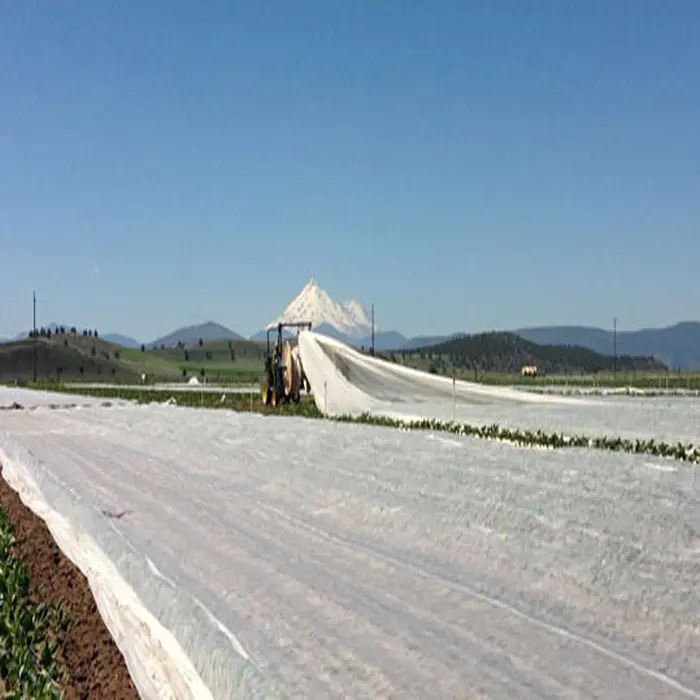 Sunshine PP Non Woven Fabric for Agriculture Cover Fabric Roll