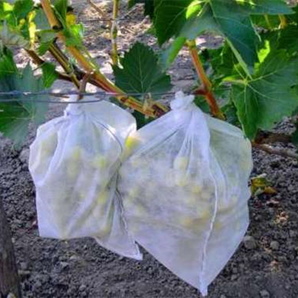 Agriculture Non Woven Cloth, TNT Textile for Fruit Cover