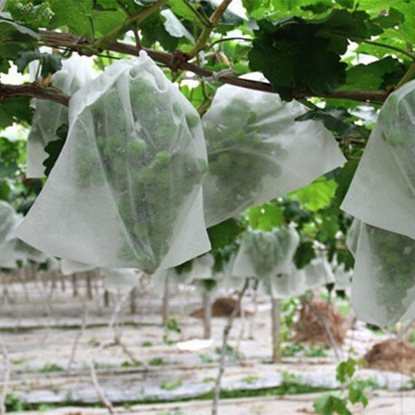UV Stabilised PP Agriculture Nonwoven Fabrics