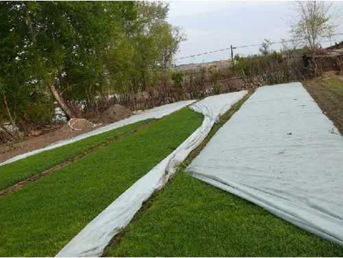 PP Spunbond Non Woven UV Resistant Agriculture Fabric