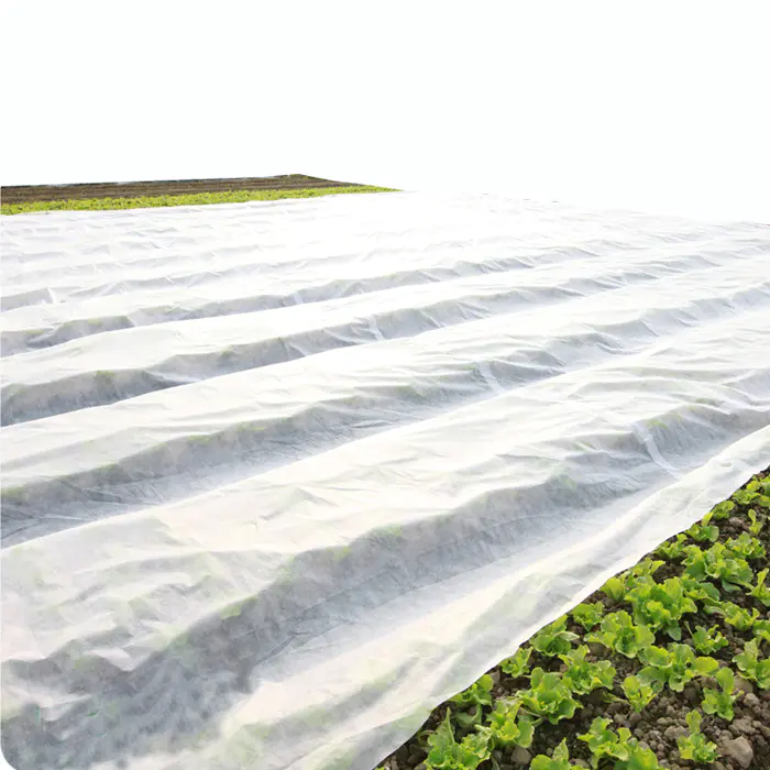 Top Quality Water Permeable Plant Fabric Nonwoven Fabric Agriculture Covers Fabric