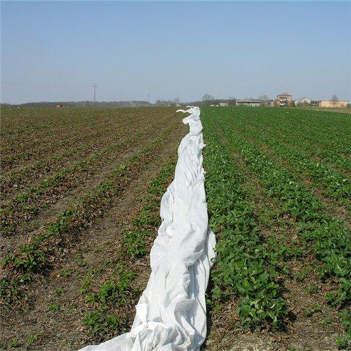 Environmental Protection Cover PP Non-Woven Fabric