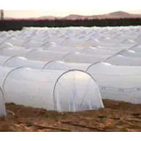 Nonwoven Agriculture Plant Cover with UV Treatment