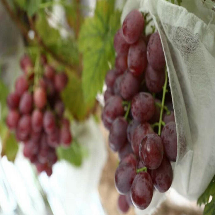 PP Spun Bond Nonwoven Fabric for Grape Fruit Bags