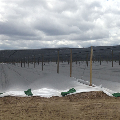 Environmental Protection Cover PP Non-Woven Fabric
