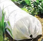 Eco-Friendly PP Nonwoven Fabric Agriculture Plant Cover