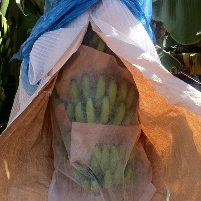 UV Resistant PP Nonwoven Fabric for Fruit Cover