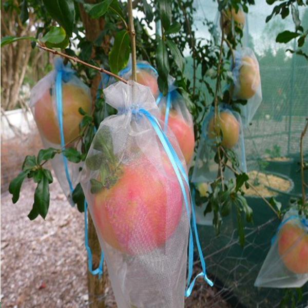 Polypropylene Non Woven Fruit Tree Covers
