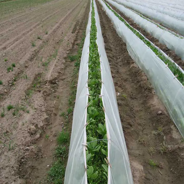 3% UV PP Nonwoven Fabric for Agriculture Cover