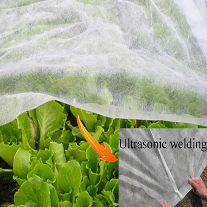 Anti-UV Protector in PP Nonwoven Fabric for Agriculture Cover