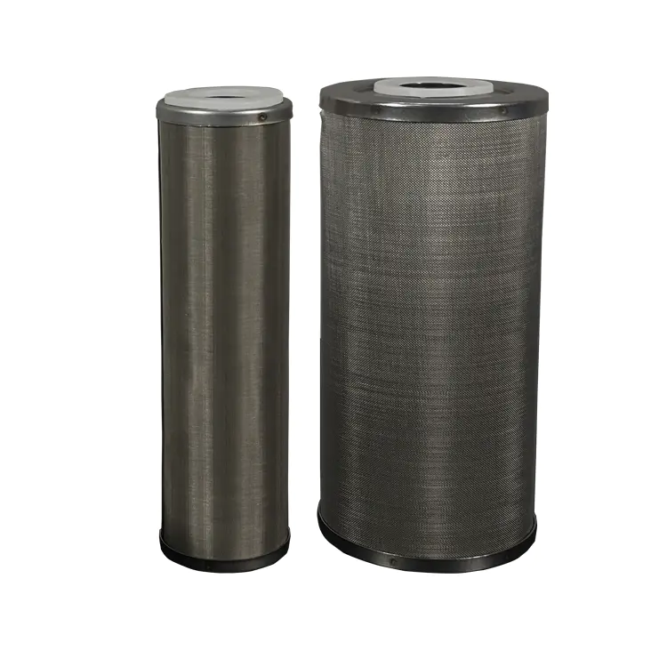 Water filter equipment DOE 20 inch ss housing cartridge filter 316L stainless steel with high purity metal powder element
