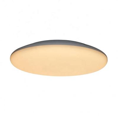 Australian Standard SAA CE ROHS Modern Design Indoor Kitchen Ceiling Light