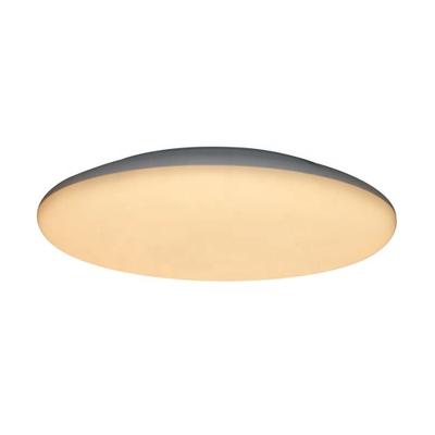 Emergency SAA CE ROHS Standard Lamp Decorated Contemporary Ceiling Light