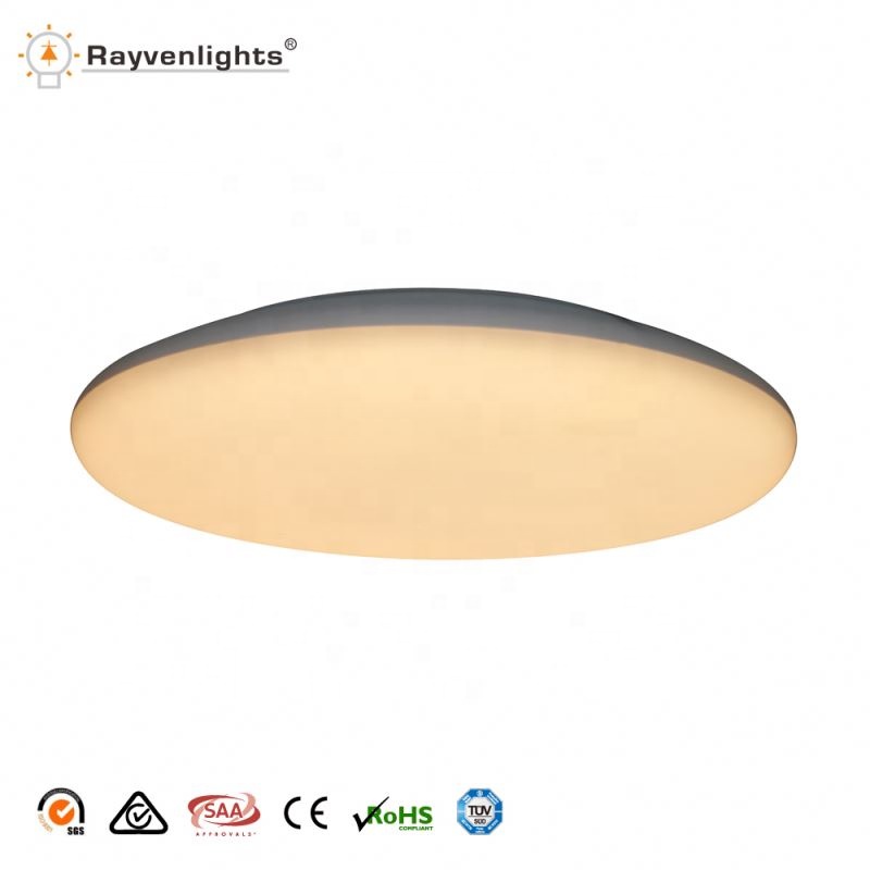 Custom Lamp Manufacturer Led Ceiling Light