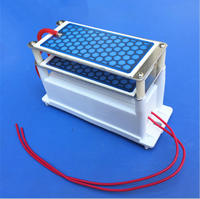 Ozone Generator 10g with double Ceramic Plate Long Life Style Longevity Double Sheet For Chemical Factory