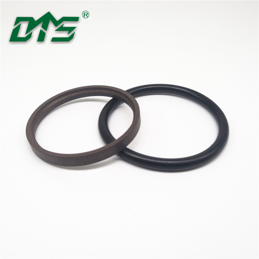 GSW hydraulic rod ring ptfe seal-DMS Seal Manufacturer