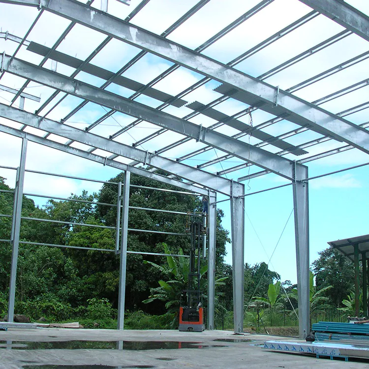 Conventional Customizable Prefabricated Building Steel Structure Warehouse