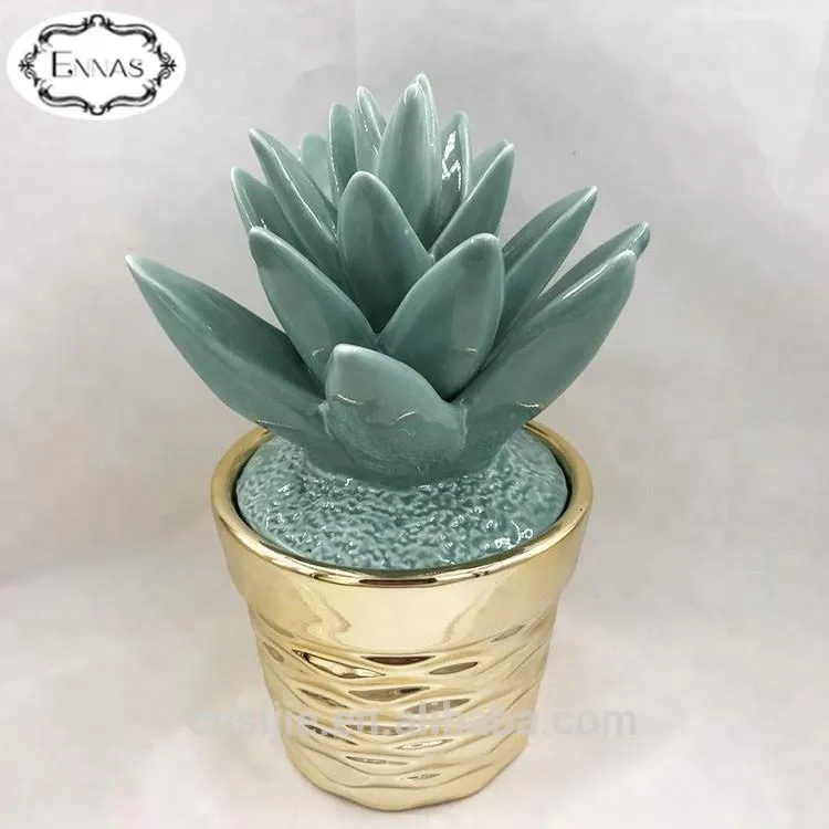 Porcelain ceramic succulent and ceramic material pot outdoor planters