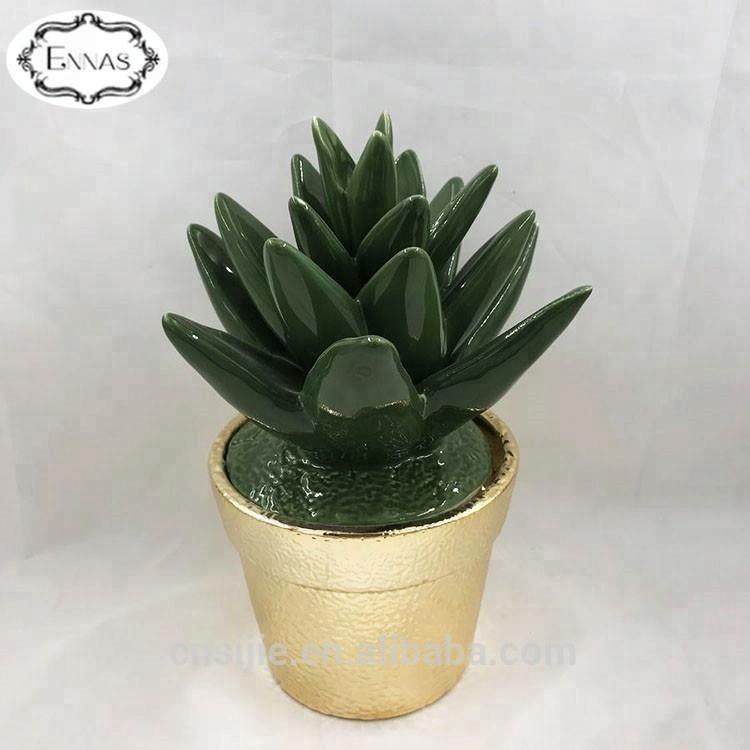 Artificial Ceramic Succulent Ornamental Plants with Name