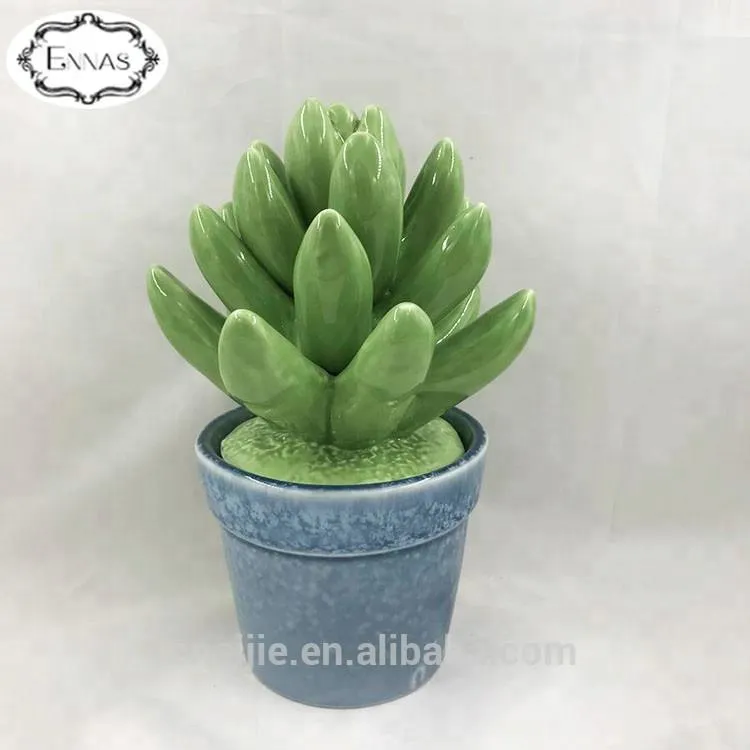Artificial Ceramic Succulent Ornamental Plants with Name