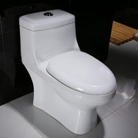 Economic ceramic one piece sink toilet