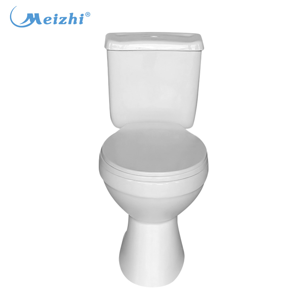 China cheap smart washdown western toilet