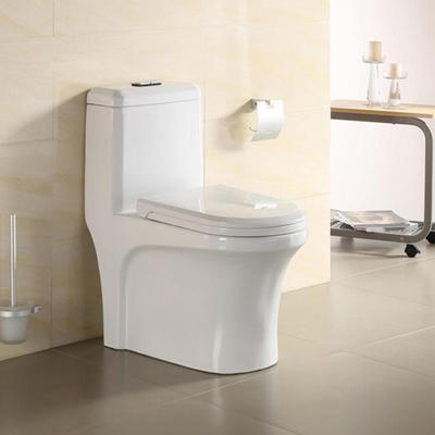 Sanitary product eastern western quality craft toilets