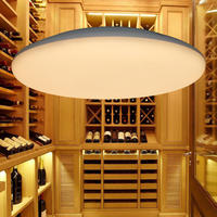 SAA approval CCT 12W Ceiling LED Oyster Light 250mm/ 300mm/380mm