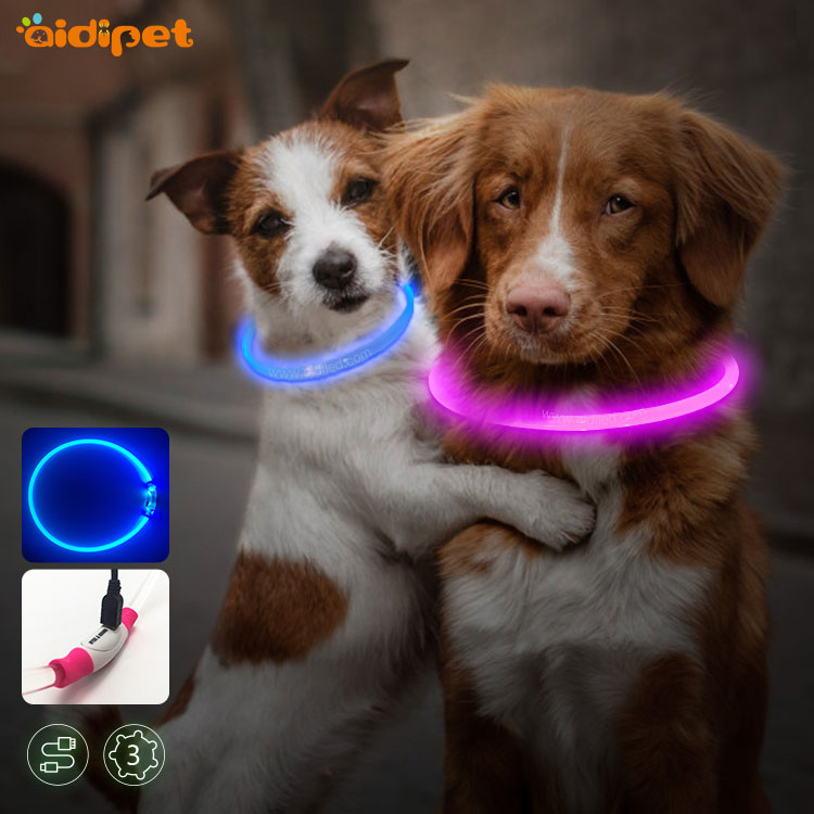 Newest Pet Accessories Outdoor Night Safety LED Dog Collar