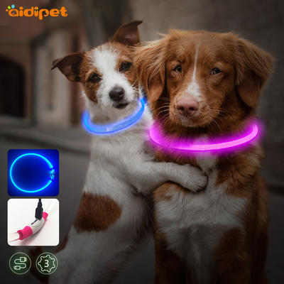 Newest Pet Accessories Outdoor Night Safety LED Dog Collar