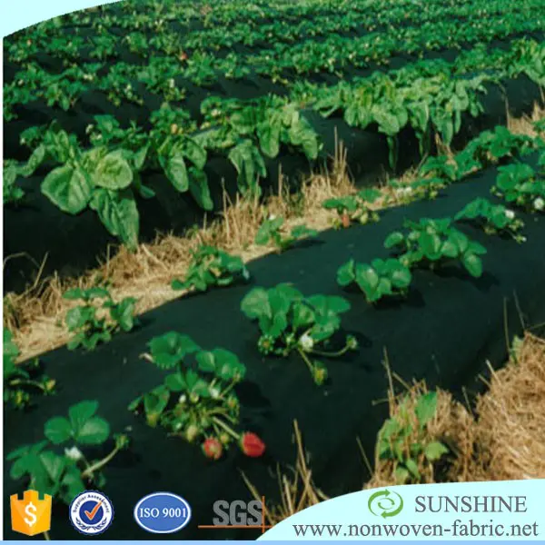 Pp Spunbond Nonwoven Fabric For Growing Crops and Plant Cover