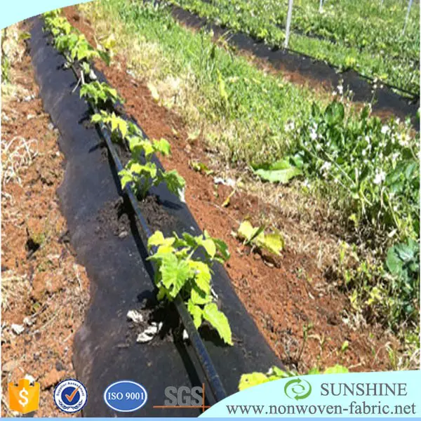 Pp Spunbond Nonwoven Fabric For Growing Crops and Plant Cover