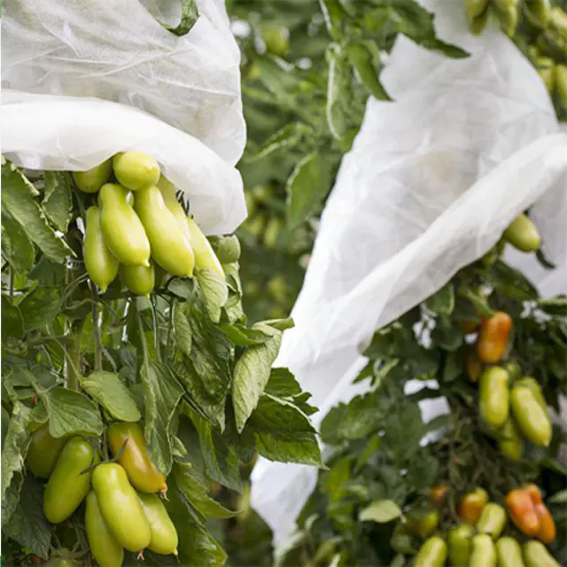 Fruit Cover Bag Fabric Nonwoven Plant Protective Bag Banana
