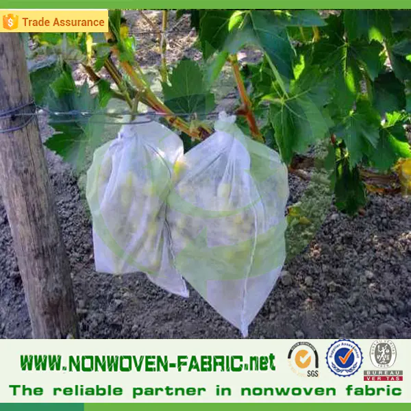 Eco-friendly PP spunbond nonwoven fabric for grape bags