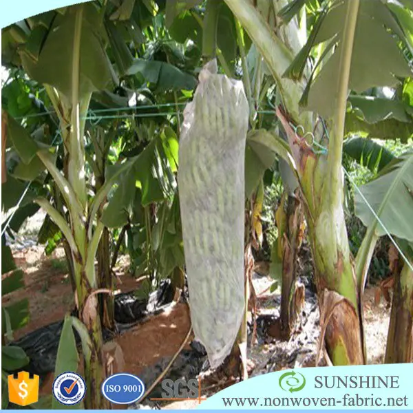 Protection Banana bag Agriculture Non Woven Fabric