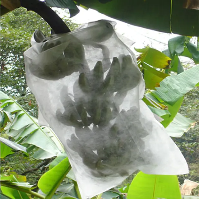 Nonwoven Fruit Cover Bag Fabric for Plant Protective Bag Banana