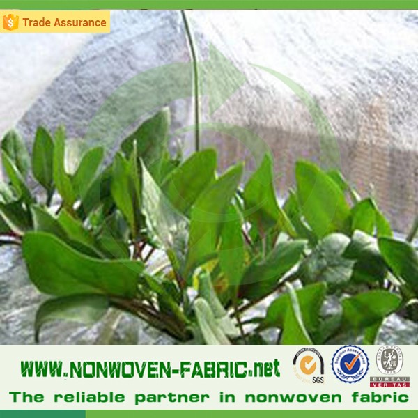 PP spunbond nonwoven agriculture white roll/100% polypropylene agriculture product/eco banana bag non