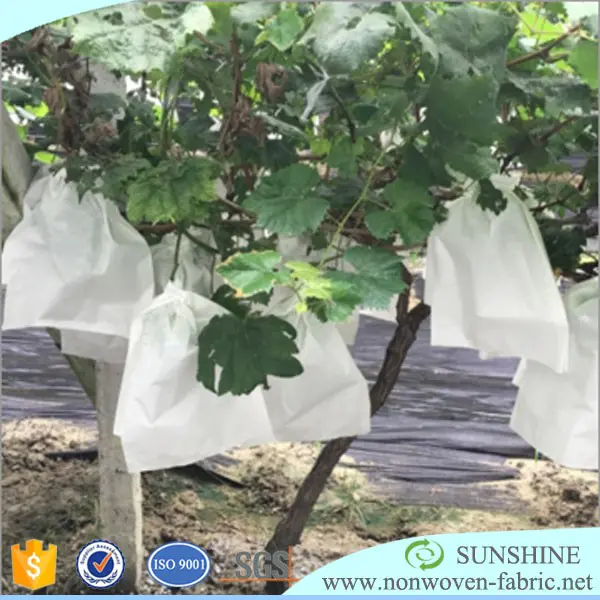 Efficient Agriculture Hydroponics System Type UV Cover Fabric Material Grow Bags