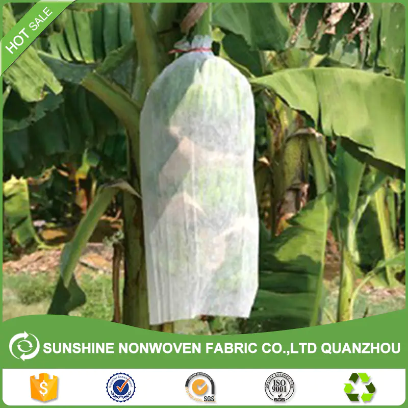 PP Spunbond Nonwoven Banana Bag/ Protective Bag for Banana