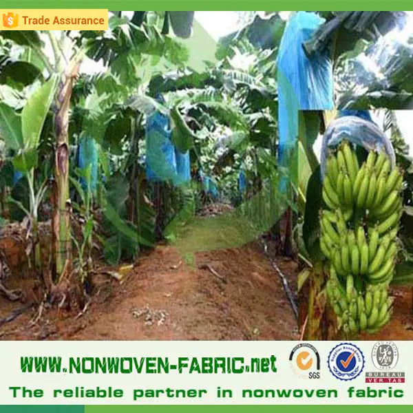 Frost Resistant Non woven Fabric Banana Bags/Fruit Protective Cover