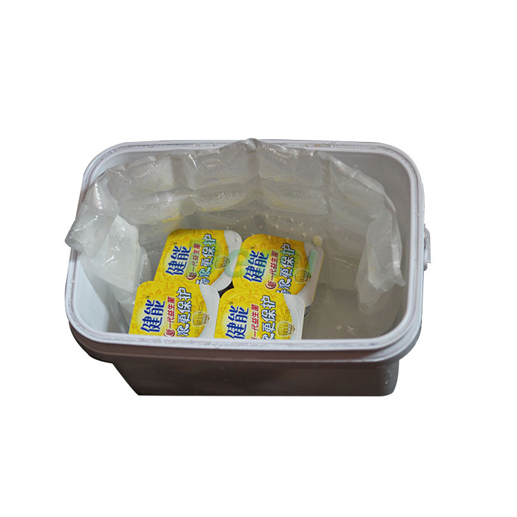 Hot sell eco-friendly disposable ice cube cooler bag,ice cube freezer bags